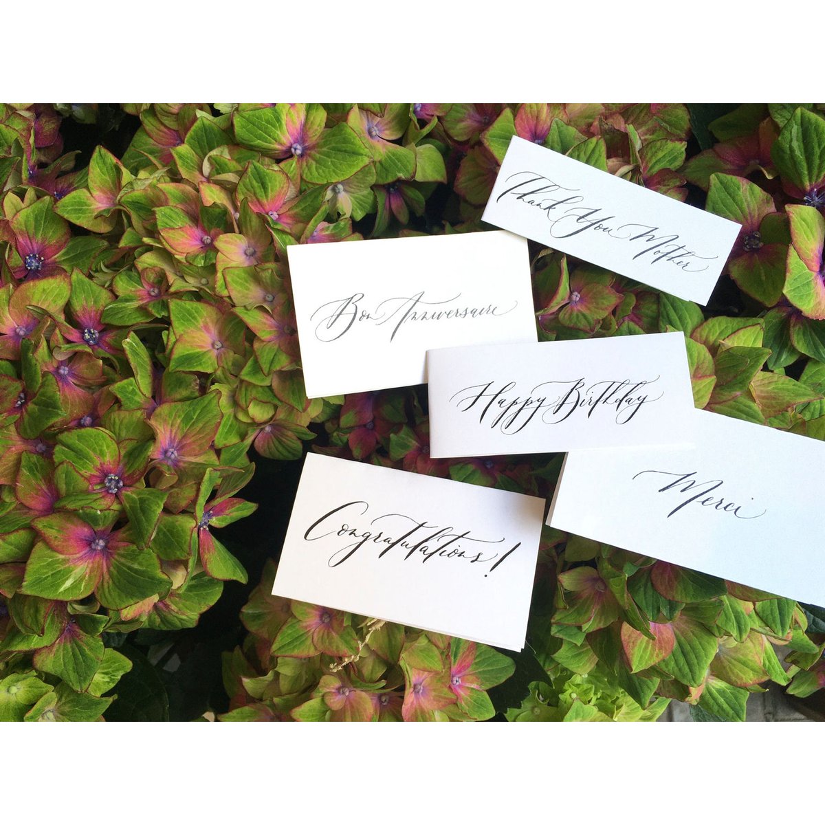 発送】季節のバスケットアレンジXXXL※4営業日前までにご注文下さい