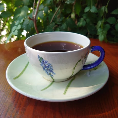 ブラジル　バハス農園（パルプドナチュラル）中煎り／100g