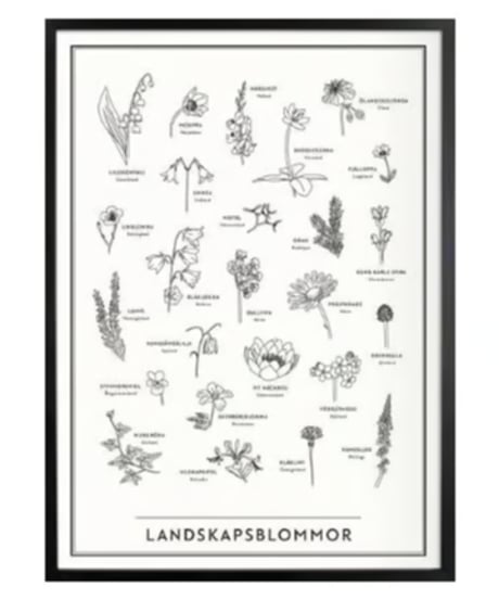 ポスター Landskapsblommor / 野花（SE）