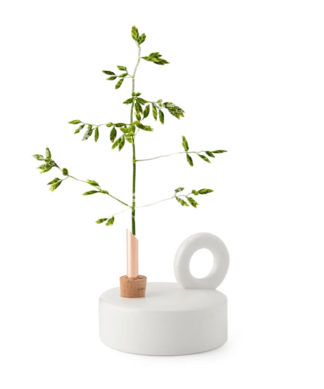 Chamber Vase