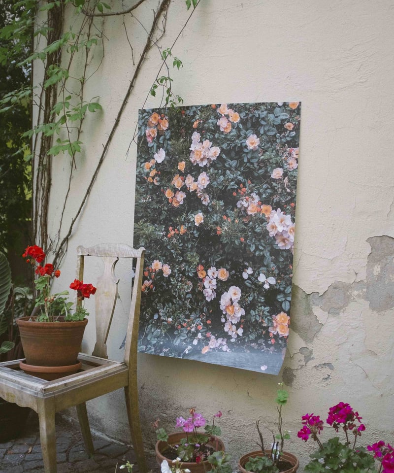 Fine Little Day ROSES ポスター 70x100cm ポスター「RED ROSES」 70 x 100 cm | Triangle ONLINE S
