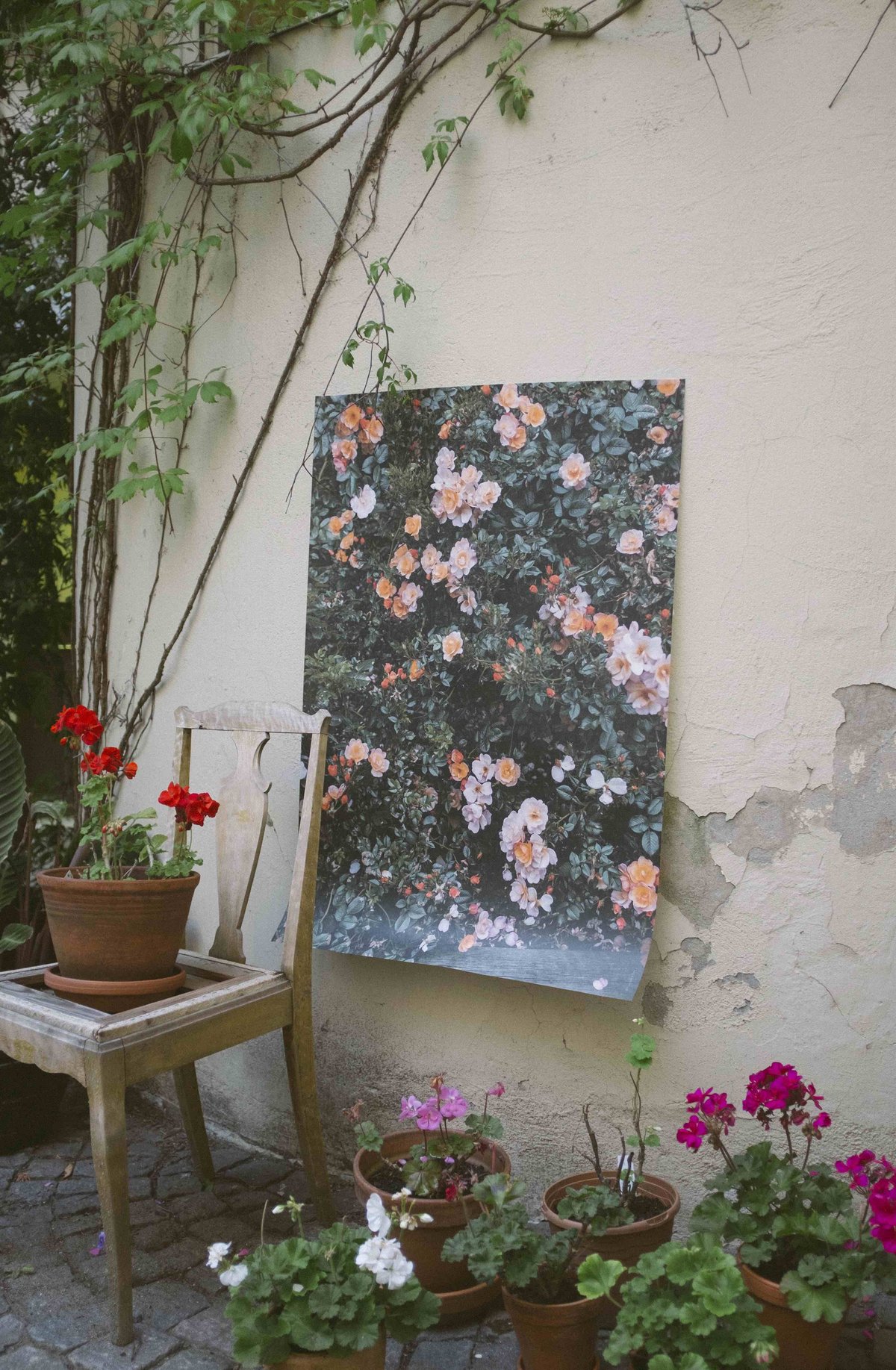 額付きヴィンテージポスター パステルローズ 額付きヴィンテージポスター パステルローズ 額付きヴィンテージ