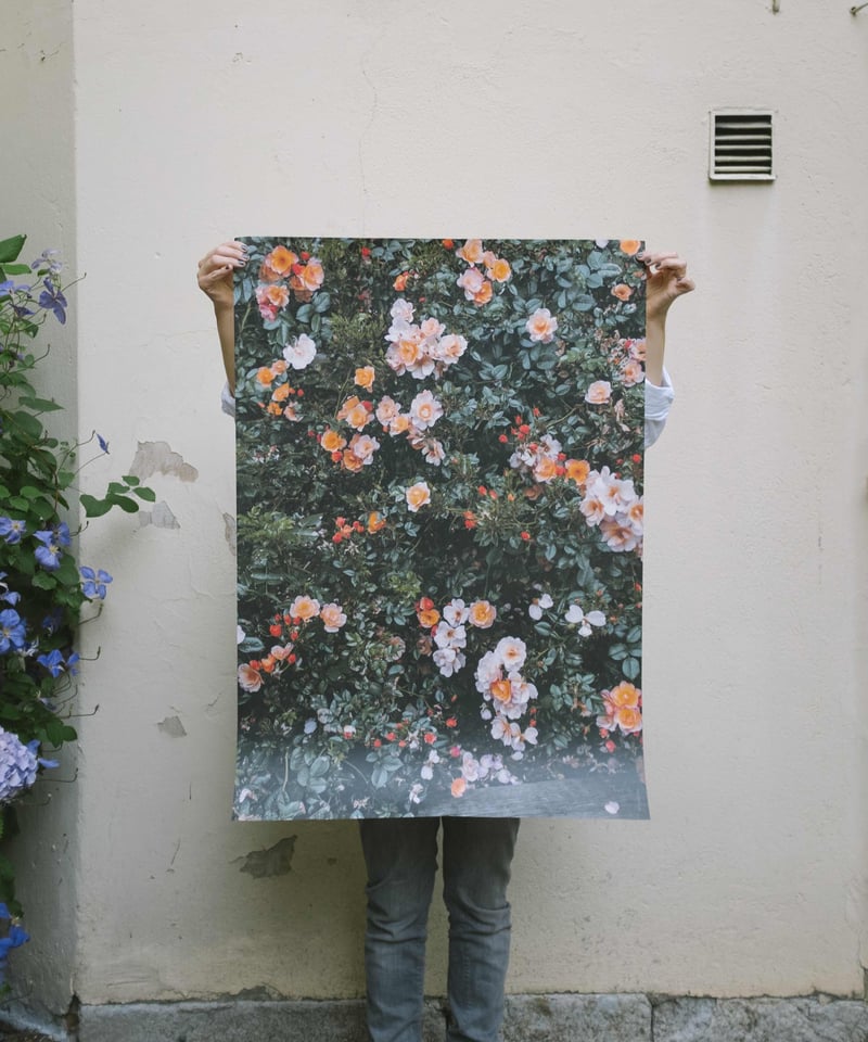 ポスター「RED ROSES」 70 x 100 cm | Triangle ONLINE S