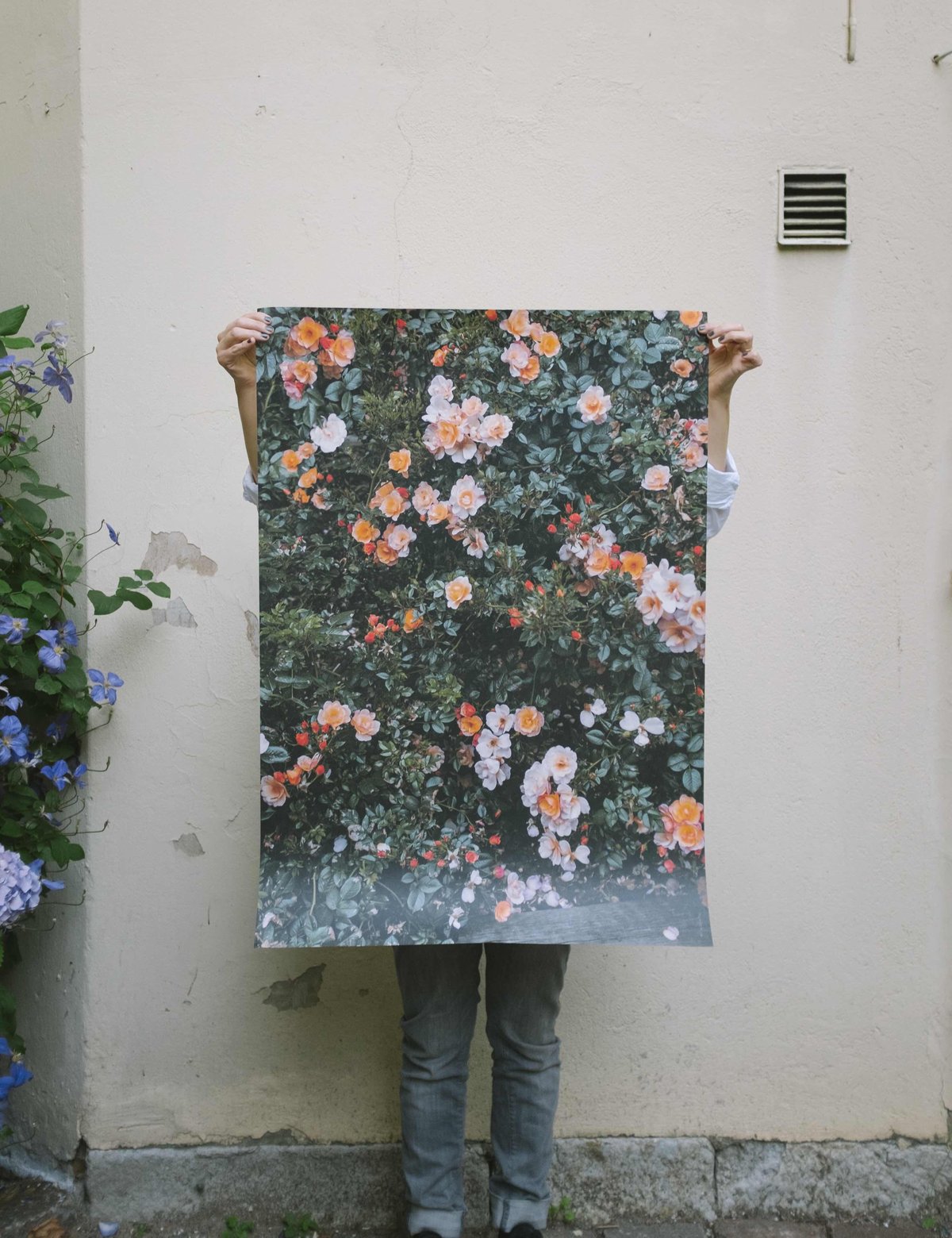 Fine Little Day ROSES ポスター 70x100cm ポスター「RED ROSES」 70 x 100 cm | Triangle ONLINE S
