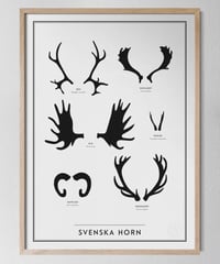 ポスター Svenska Horn / スウェーデンの角（SE）