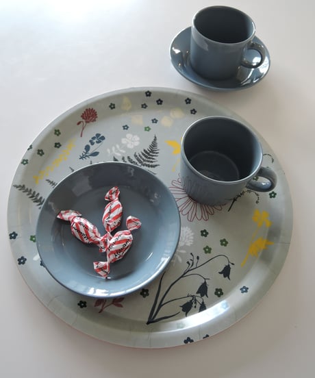 丸トレイ中　FERN