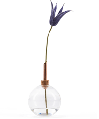 Glasilium Vase 　クリア　Sサイズ