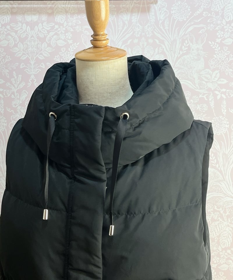 ダウンベスト ：546405：PASSIONE パシオーネ | CEILIDHケイリー 半田