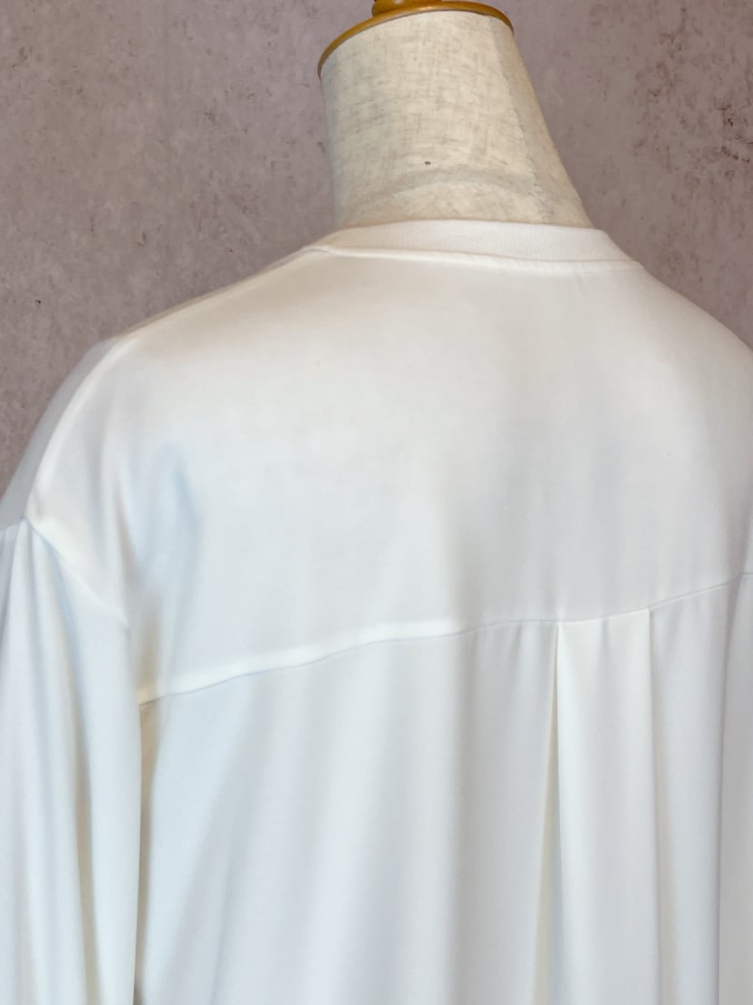 ロゴジョーゼットプルオーバー ：536995：PASSIONE パシオーネ | CEILID