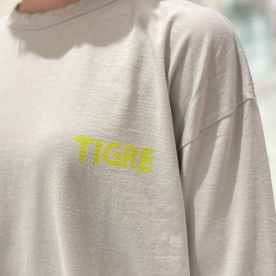 68e326d256efca361917f8ce