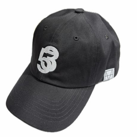 M53. BASE BALL CAP gray