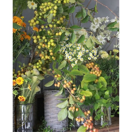 【定期便】季節の切り花セレクト 11,000円(送料込)