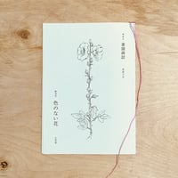 素描画誌　古井フラ／創刊号　色のない花