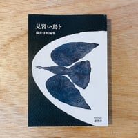 見習い鳥卜／藤井佯