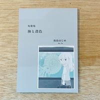 歌集 海と鳶色／湯島はじめ