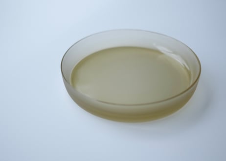 Plate そさら 丸形プレート 17cm