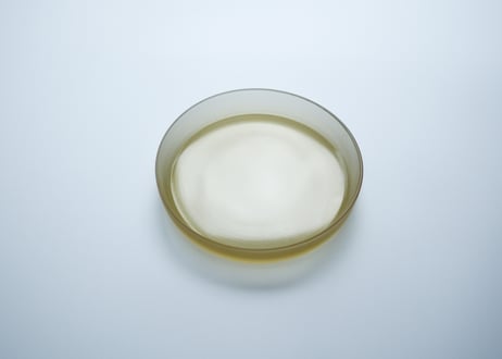 Plate そさら 丸形プレート 17cm