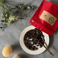 Alegle珈琲（ボリビア産　豆100g）