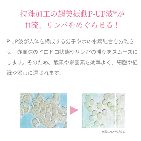 shu sei EXテラシール P-UP