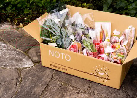 【通年販売】グランシェフ御用達の旬の野菜 3000円セット(税込・送料別)