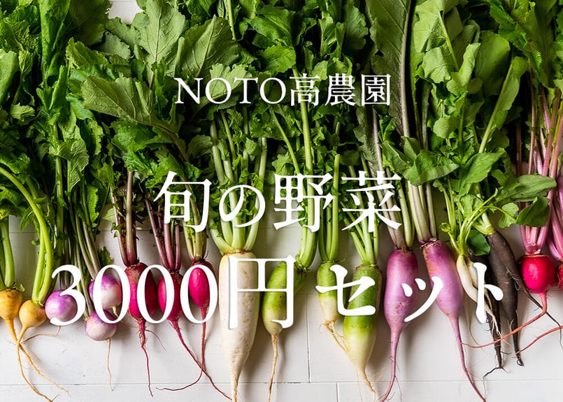 【専用】野菜様 みつぎの三ツ星 野菜便 ☆送料込み（一部地域を除く）☆ - さとやま