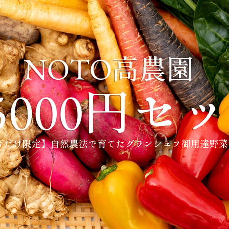 【今だけ限定】NOTO高農園 グランシェフ御用達の野菜セット 5000円セット(税込・送料別)
