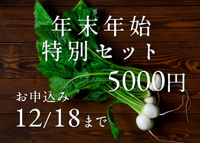 野菜ページ 楽天市場】【機能性表示食品】栄養強化型 1日分の野菜 紙パック 200ml