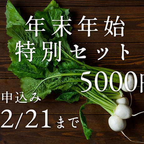 2023-2024【年末年始特別セット】野菜 5000円セット(税込・送料別)