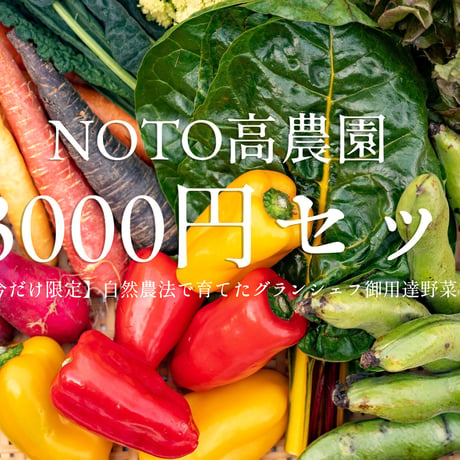 【今だけ限定】NOTO高農園 グランシェフ御用達の野菜セット 3000円セット(税込・送料別)