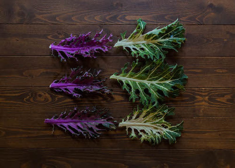 定期便】グランシェフ御用達野菜セット5000円(税込・送料別) | NOTO高