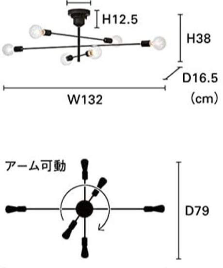 INTERFORM INC. インタ－フォルム シーリングライト 照明 6灯 ブラック インダストリアル シンプル インテリア Astreアストル LT-2679 電球なし・別売