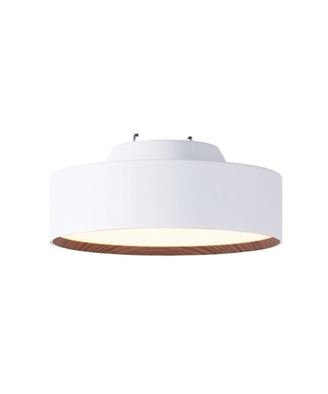 ART WORK STUDIO グロー ミニ LED シーリングランプ LED内蔵型 非防水 AW-0578E