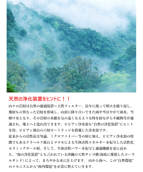 ガイアの水135 蛇口用浄水器 ビビアンクラブウォーター・完全逆流洗浄式浄水器 水道取付型