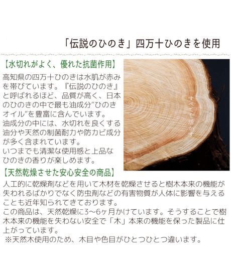 土佐龍　四万十川　ひのきスタンド付き　まな板　M