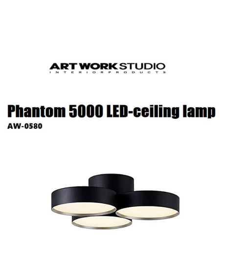 ほぼ新品】ART WORK STUDIO Eve-ceiling light えすぽわーる