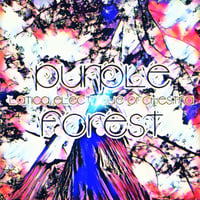 【ダウンロード版only】LaTICA electrique orchestra / 1st full alubum 'PURPLE FOREST'