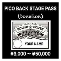 PICO バックステージパス（名前入り）