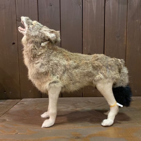 Coyote　RealFur Toy
