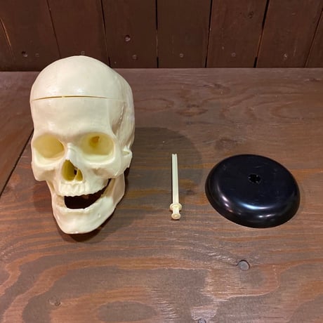 The Lindberg Line Skull Head