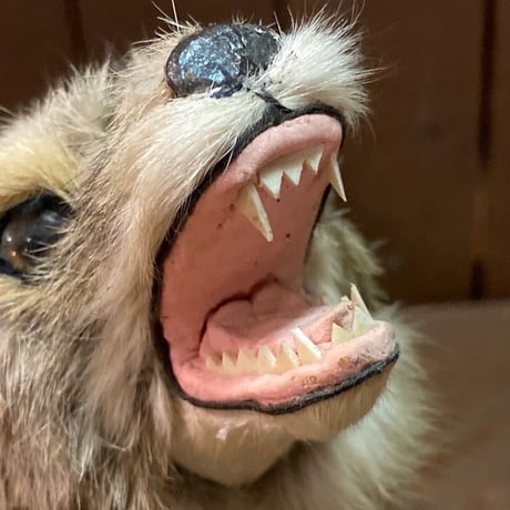 Coyote　RealFur Toy