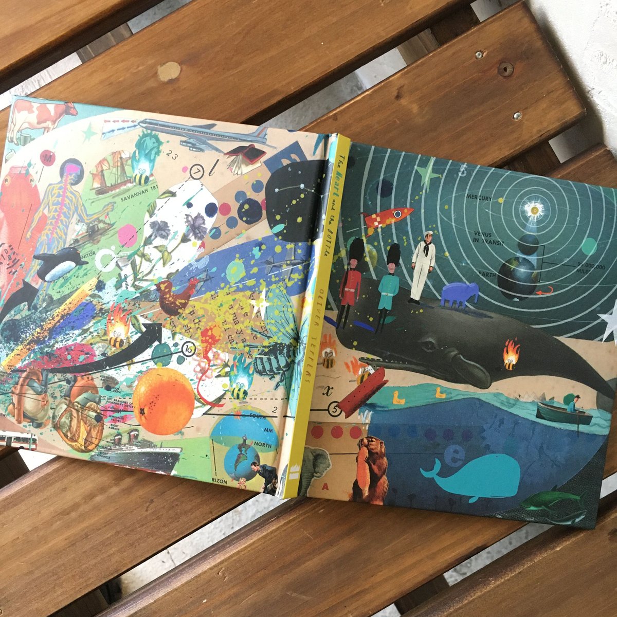 The Heart and The Bottle | yackyackbooks