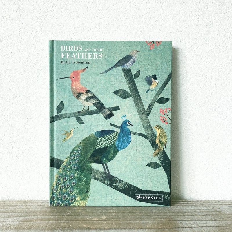 Birds and their Feathers | yackyackbooks