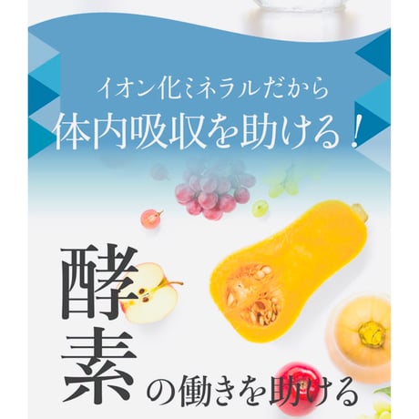 THE MINERAL <イオン化ミネラル溶液＞