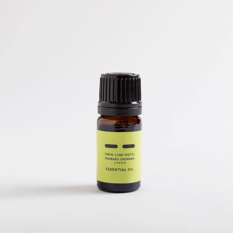 沖縄】TWIN-LINE HOTEL YANBARU OKINAWA JAPAN ANNEX