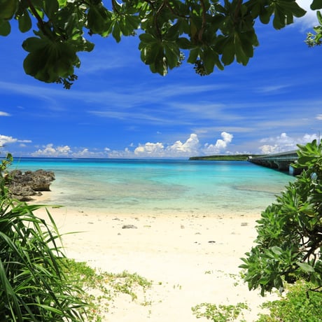 【沖縄】TWIN-LINE HOTEL YANBARU OKINAWA JAPAN ANNEX　オリジナル精油4ml