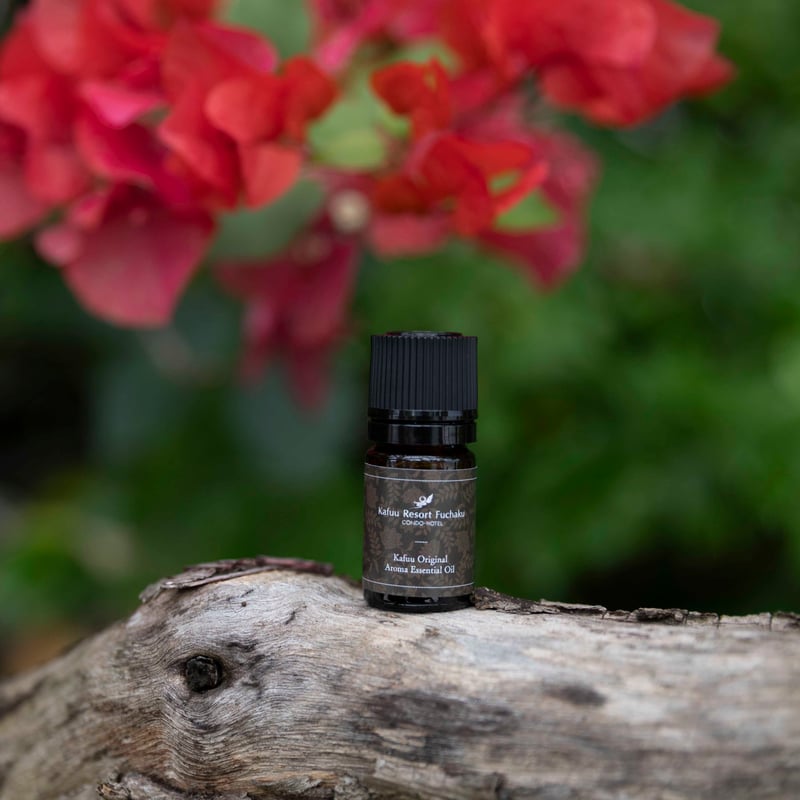 エジプト香油100ml 3本【KYPHI PURFAMES】ガラスボトル付き KYPHI