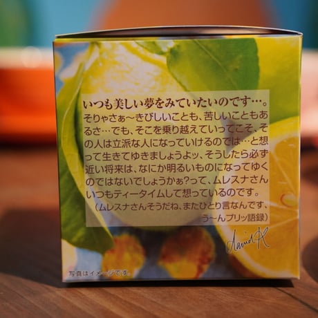 【キューブ】レモンサワーサップ