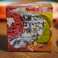 【キューブ】ウィーンのバラ