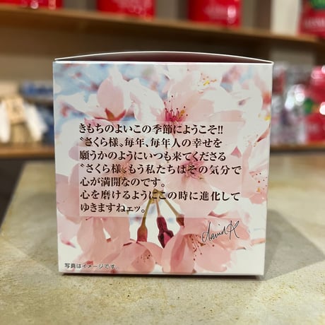 【キューブ】花のさくら通り