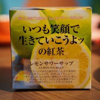 【キューブ】レモンサワーサップ